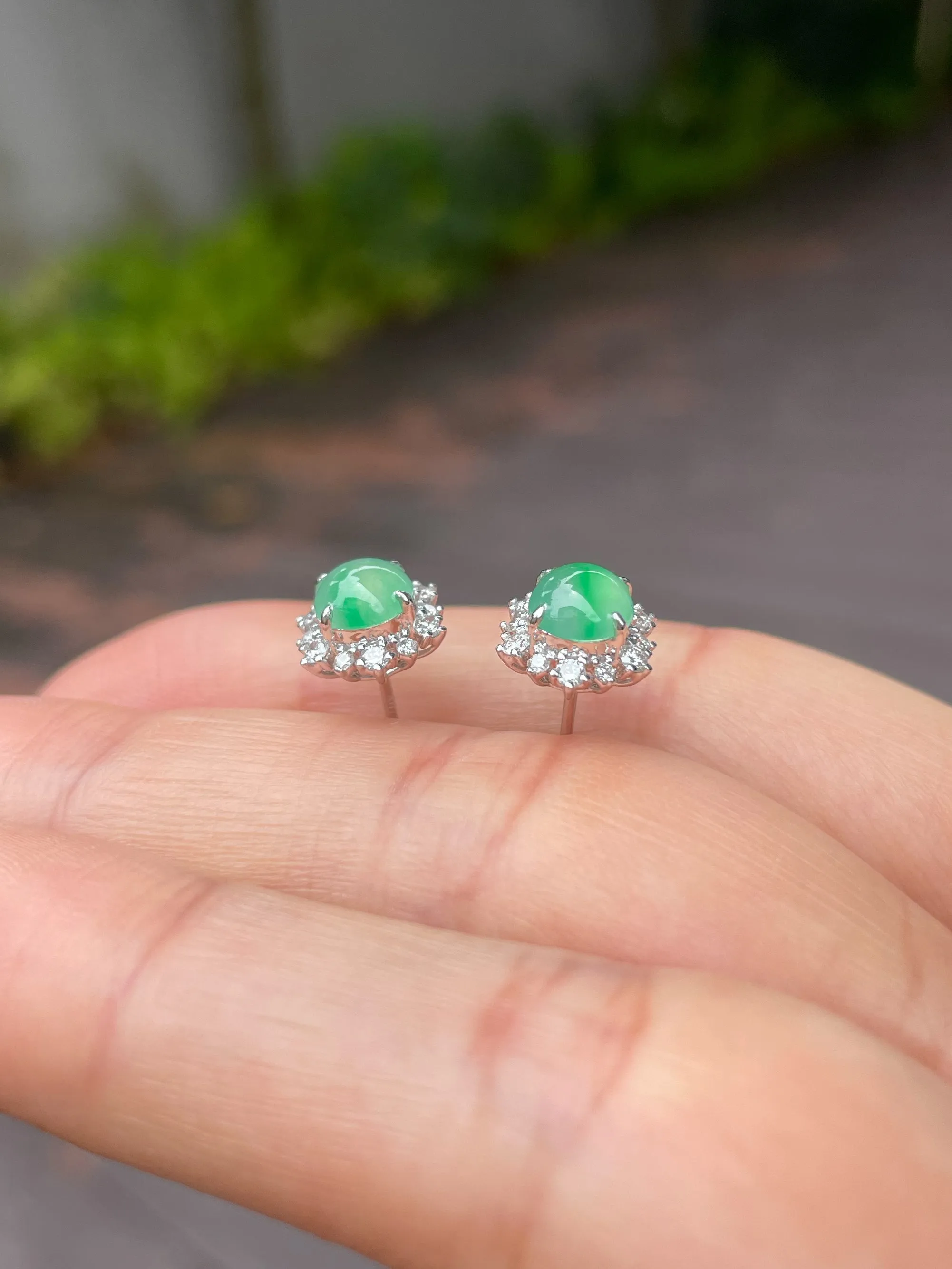 Icy Green Jadeite Cabochon Earrings (NJE102)