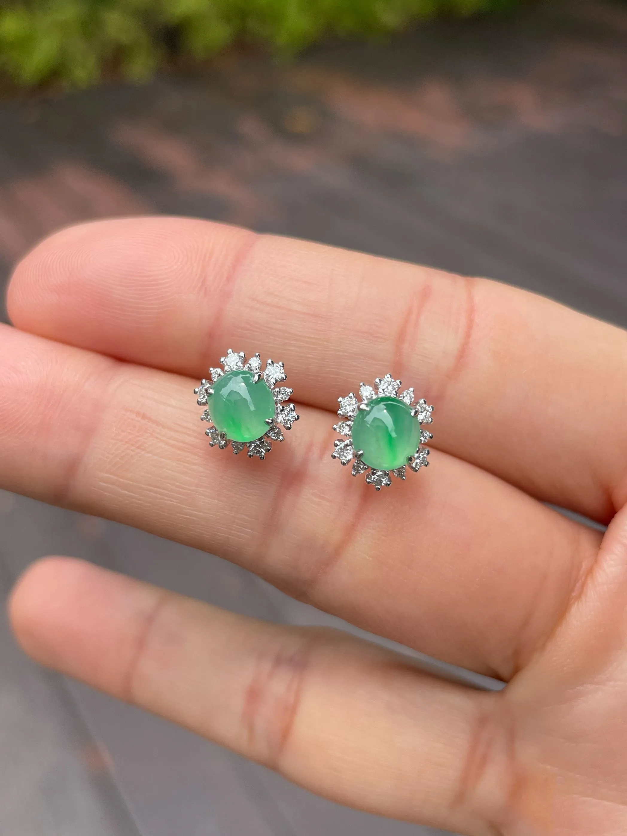 Icy Green Jadeite Cabochon Earrings (NJE102)